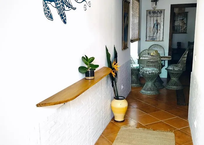 Honu Kai Aloha *